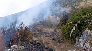 Incendi a Sezze, Europa Verde-AVS: «Il Comune aggiorni il catasto delle aree percorse dal fuoco»