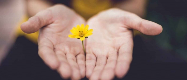La gratitudine, quel filtro che dà senso e valore alla vita