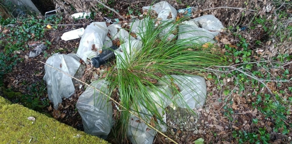Sezze. Località Foresta soffocata dai rifiuti