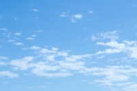 Ma il cielo è sempre più blu, il video degli alunni di Melogrosso