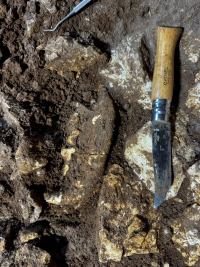 Una tana di iena di circa 50 mila anni fa. Scoperta una mandibola