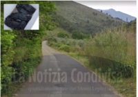 Ceriara di Sezze. Cuccioli di cane abbandonati e morti per annegamento.