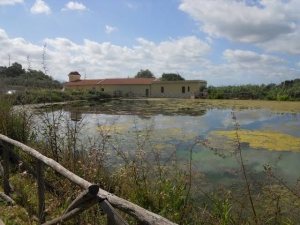 Lago Muti, il rilancio sulla carta a fine mandato: quando tornerà davvero alla città?