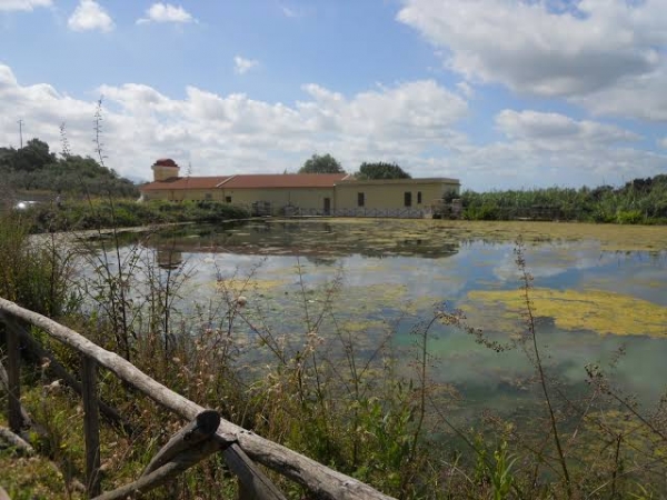 Lago Muti, il rilancio sulla carta a fine mandato: quando tornerà davvero alla città?